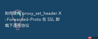 如何使用 proxy_set_header x-forwarded-proto 在 ssl 卸载下透传协议