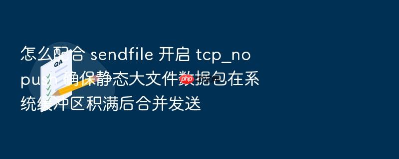 怎么配合 sendfile 开启 tcp_nopush 确保静态大文件数据包在系统缓冲区积满后合并发送