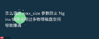怎么调优 max_size 参数防止 nginx 缓存占用过多物理磁盘空间导致爆满
