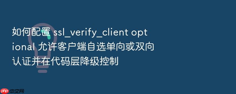 如何配置 ssl_verify_client optional 允许客户端自选单向或双向认证并在代码层降级控制
