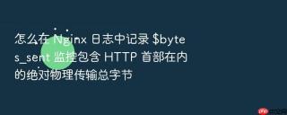 怎么在 Nginx 日志中记录 $bytes_sent 监控包含 HTTP 首部在内的绝对物理传输总字节
