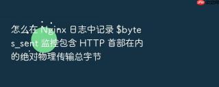 怎么在 nginx 日志中记录 $bytes_sent 监控包含 http 首部在内的绝对物理传输总字节