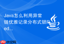 Java怎么利用异常链优雅记录分布式锁Redisson续期失败