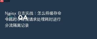 nginx 日志实战：怎么将缓存命中耗时与常规请求处理耗时进行分流隔离记录