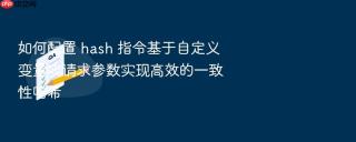 如何配置 hash 指令基于自定义变量或请求参数实现高效的一致性哈希