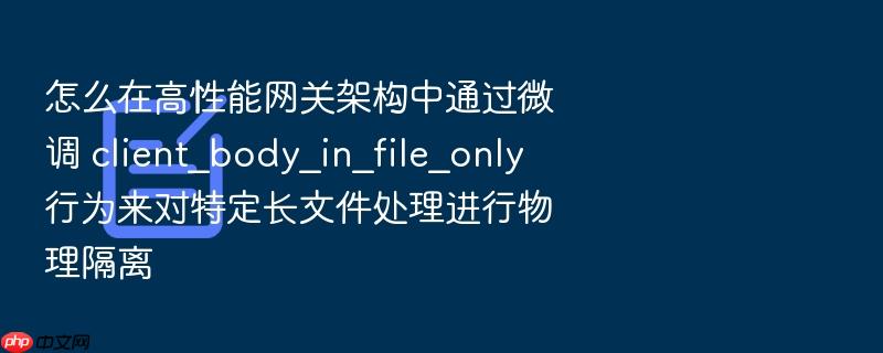 怎么在高性能网关架构中通过微调 client_body_in_file_only 行为来对特定长文件处理进行物理隔离