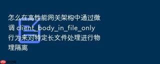 怎么在高性能网关架构中通过微调 client_body_in_file_only 行为来对特定长文件处理进行物理隔离