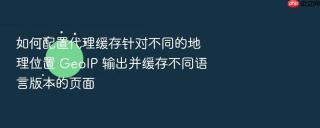 如何配置代理缓存针对不同的地理位置 GeoIP 输出并缓存不同语言版本的页面