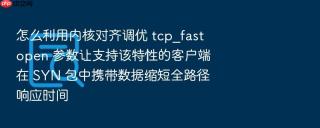 怎么利用内核对齐调优 tcp_fastopen 参数让支持该特性的客户端在 syn 包中携带数据缩短全路径响应时间