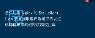 怎么利用 nginx 的 $ssl_client_i_dn 变量提取客户端证书的发证机构信息实现细粒度越权拦截