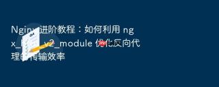 Nginx 进阶教程：如何利用 ngx_http_v2_module 优化反向代理的传输效率