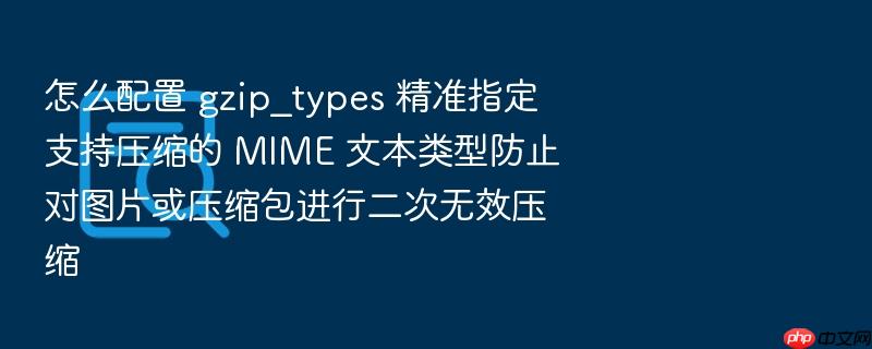 怎么配置 gzip_types 精准指定支持压缩的 mime 文本类型防止对图片或压缩包进行二次无效压缩
