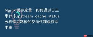 nginx 缓存度量:如何通过日志审计 $upstream_cache_status 分析特定路径的反向代理缓存命中率