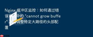 nginx 缓冲区监控:如何通过错误日志中的 \