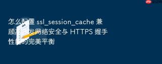 怎么配置 ssl_session_cache 兼顾高并发网络安全与 HTTPS 握手性能的完美平衡