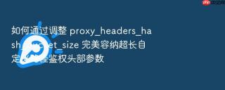 如何通过调整 proxy_headers_hash_bucket_size 完美容纳超长自定义路径鉴权头部参数