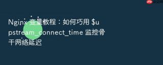 Nginx 变量教程：如何巧用 $upstream_connect_time 监控骨干网络延迟