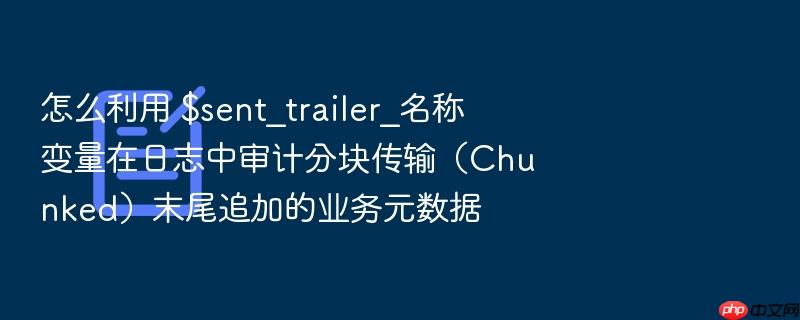 怎么利用 $sent_trailer_名称 变量在日志中审计分块传输(chunked)末尾追加的业务元数据