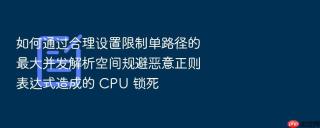 如何通过合理设置限制单路径的最大并发解析空间规避恶意正则表达式造成的 cpu 锁死