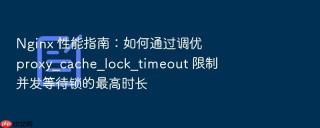 Nginx 性能指南：如何通过调优 proxy_cache_lock_timeout 限制并发等待锁的最高时长