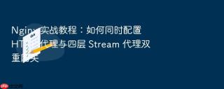 Nginx 实战教程：如何同时配置 HTTP 代理与四层 Stream 代理双重网关