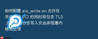 如何配置 aio_write on 允许在开启异步 i/o 的同时将包含 tls 元数据的日志写入交由非阻塞内核池处理