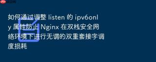 如何通过调整 listen 的 ipv6only 属性防止 Nginx 在双栈安全网络环境下进行无谓的双重套接字调度损耗