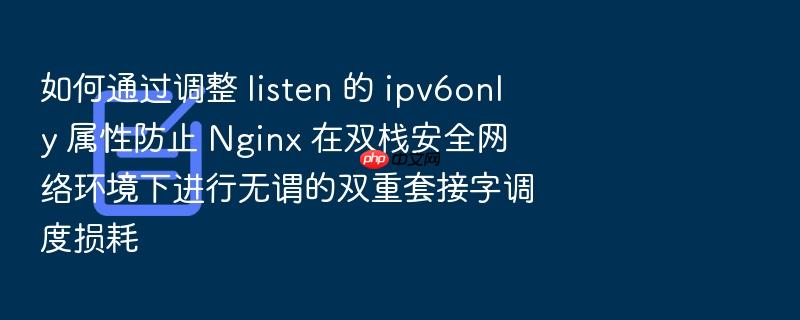 如何通过调整 listen 的 ipv6only 属性防止 nginx 在双栈安全网络环境下进行无谓的双重套接字调度损耗