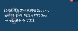 如何配置日志格式捕获 $cookie_名称 精准审计特定用户的 session 活跃度与访问轨迹
