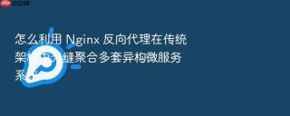 怎么利用 Nginx 反向代理在传统架构中无缝聚合多套异构微服务系统
