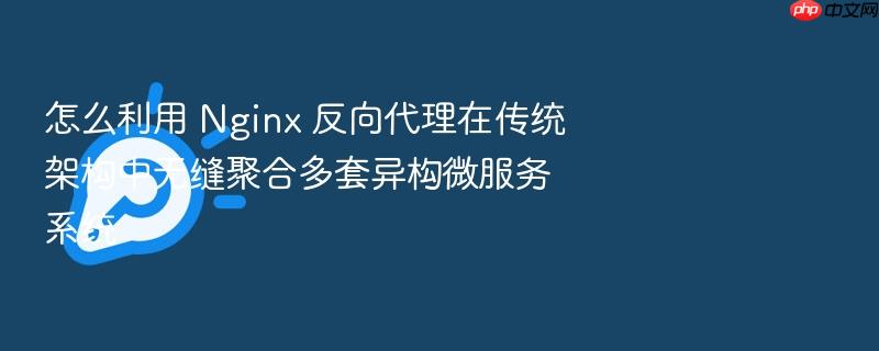 怎么利用 nginx 反向代理在传统架构中无缝聚合多套异构微服务系统