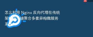 怎么利用 nginx 反向代理在传统架构中无缝聚合多套异构微服务系统