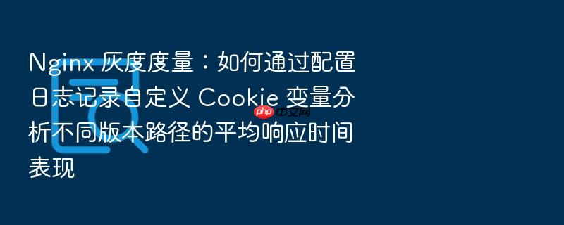 nginx 灰度度量:如何通过配置日志记录自定义 cookie 变量分析不同版本路径的平均响应时间表现