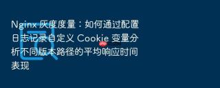 nginx 灰度度量：如何通过配置日志记录自定义 cookie 变量分析不同版本路径的平均响应时间表现