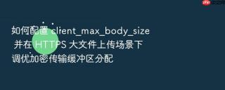 如何配置 client_max_body_size 并在 https 大文件上传场景下调优加密传输缓冲区分配