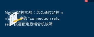 nginx 监控实战:怎么通过监控 error.log 中的 \
