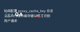 如何配置 proxy_cache_key 自定义反向代理的缓存键以精准识别用户请求