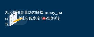 怎么使用变量动态拼接 proxy_pass 目的地址实现高度可定制的转发