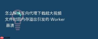 怎么解决反向代理下载超大视频文件时因内存溢出引发的 worker 崩溃