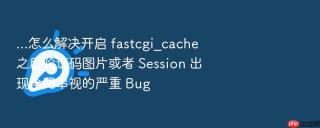 ...怎么解决开启 fastcgi_cache 之后验证码图片或者 session 出现全网串视的严重 bug