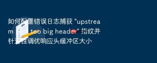 如何配置错误日志捕获 \