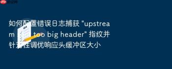 如何配置错误日志捕获 