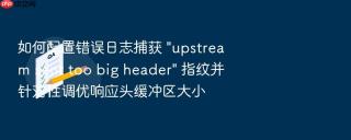 如何配置错误日志捕获 