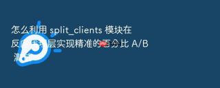 怎么利用 split_clients 模块在反向代理层实现精准的百分比 A/B 测试