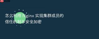 怎么利用 nginx 实现集群成员的信任机制与安全加密