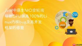 jvm中原生nio空轮询导致cpu飙高100%的linux内核bug及高并发框架的修复