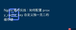 Nginx 缓存实战：如何配置 proxy_cache_key 自定义独一无二的缓存键
