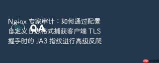 nginx 专家审计：如何通过配置自定义日志格式捕获客户端 tls 握手时的 ja3 指纹进行高级反爬