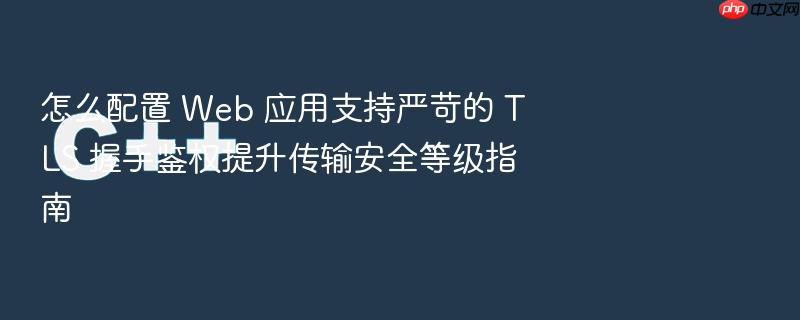 怎么配置 web 应用支持严苛的 tls 握手鉴权提升传输安全等级指南