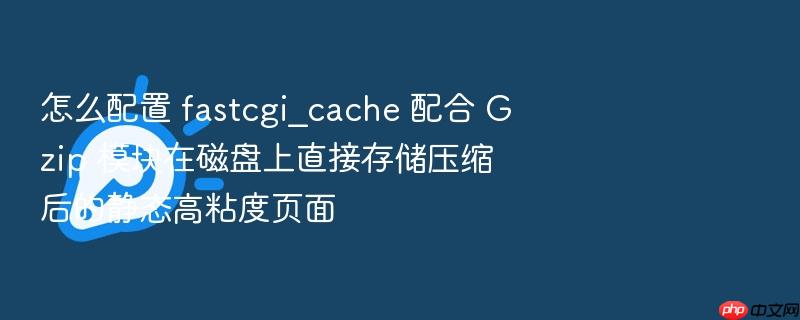 怎么配置 fastcgi_cache 配合 gzip 模块在磁盘上直接存储压缩后的静态高粘度页面